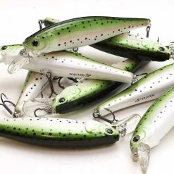 Jerkbaits Lucky Craft Pointer 100