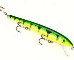 Strike King Wild Shiner Jerkbait