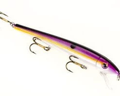 Strike King Wild Shiner Jerkbait