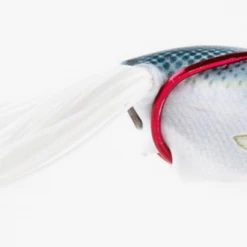 Frogs Southern Lure Co. Scum Frog Launch Frog