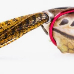 Frogs Southern Lure Co. Scum Frog Launch Frog