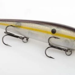 Strike King KVD J300 Jerkbait