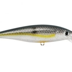 Jerkbaits Lucky Craft Pointer 100