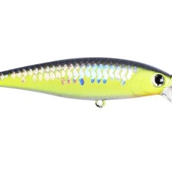 Jerkbaits Lucky Craft Pointer 100