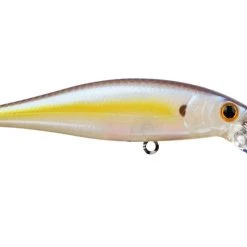 Jerkbaits Lucky Craft Pointer 100